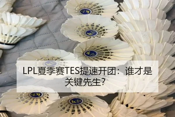 LPL夏季赛TES提速开团：谁才是关键先生？